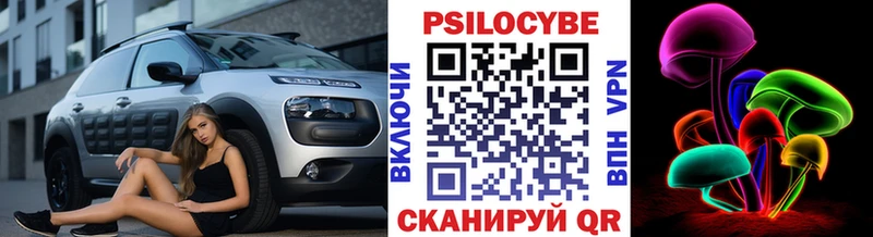 Купить где  Сясьстрой  Псилоцибиновые грибы ЛСД 